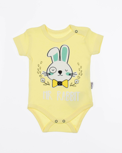 FINDIK 12437 Боди FINDIK 12437 Боди фото