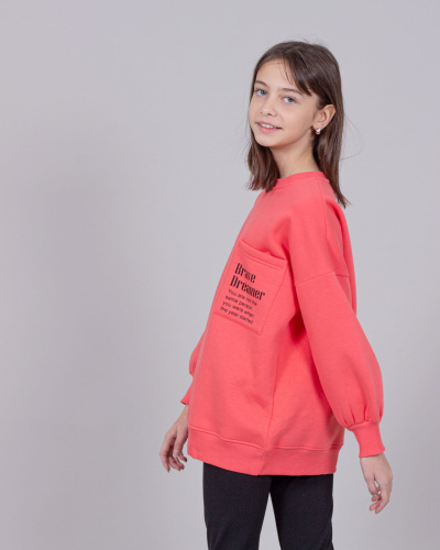 DMB KIDS 9467 Свитшот утепленный DMB KIDS 9467 Свитшот утепленный фото